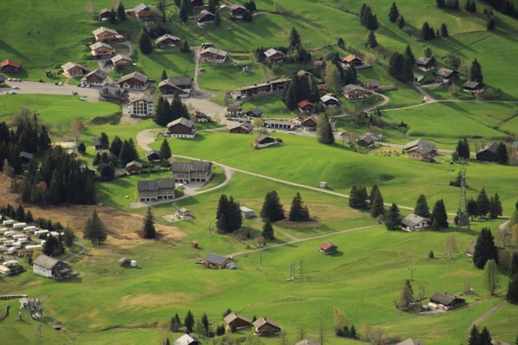 A9 - Les Myosotis Appartement Les Mosses