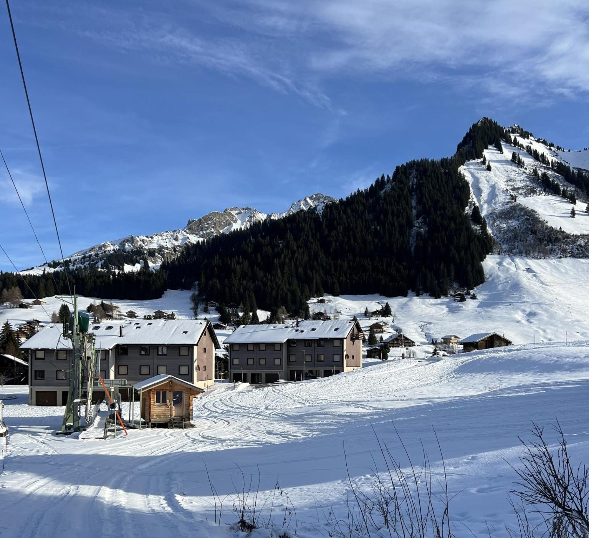 A9 - Les Myosotis Appartement